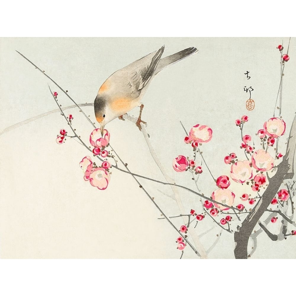 Songbird on blossom Branch Poster Print by Ohara Koson-VARPDX3JP5036 Image 1