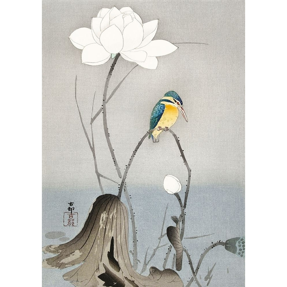 Kingfisher with Lotus Flower by Ohara Koson-VARPDX3JP5684 Image 1