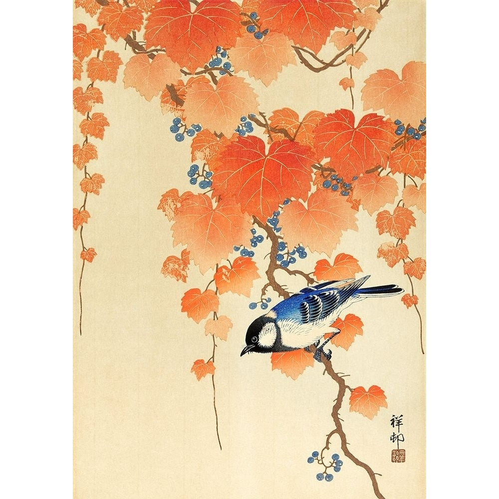 Great tit on paulownia branch by Ohara Koson-VARPDX3JP5682 Image 1