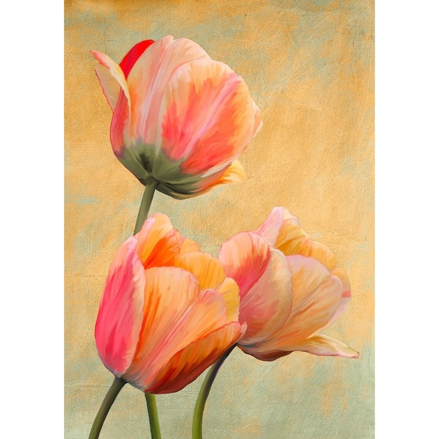 Golden Tulips I Poster Print - Luca Villa-VARPDX3LC5830 Image 1