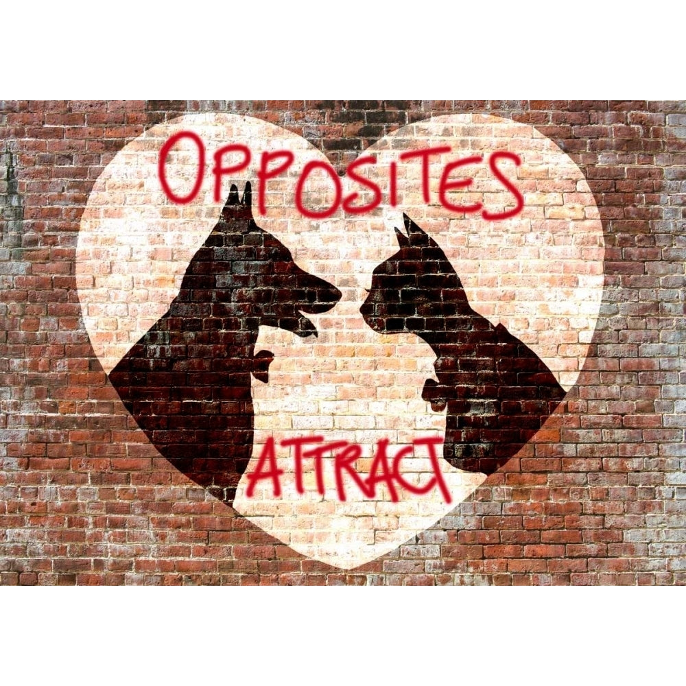 Opposites attract Poster Print by Masterfunk Collective-VARPDX3MF4114 Image 2