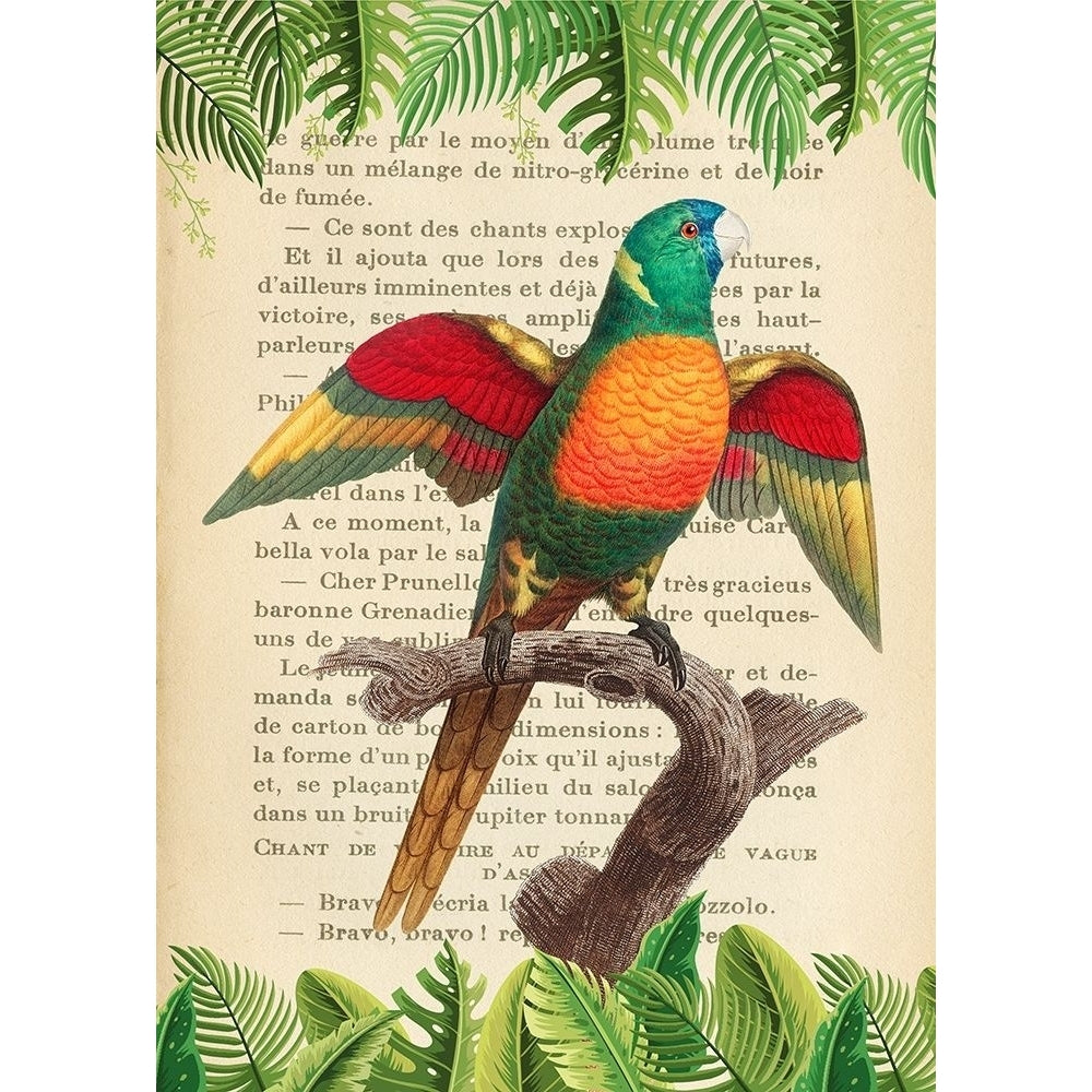 The Blue-Headed Parrot- After Levaillant Poster Print by Stef Lamanche-VARPDX3SL5353 Image 1