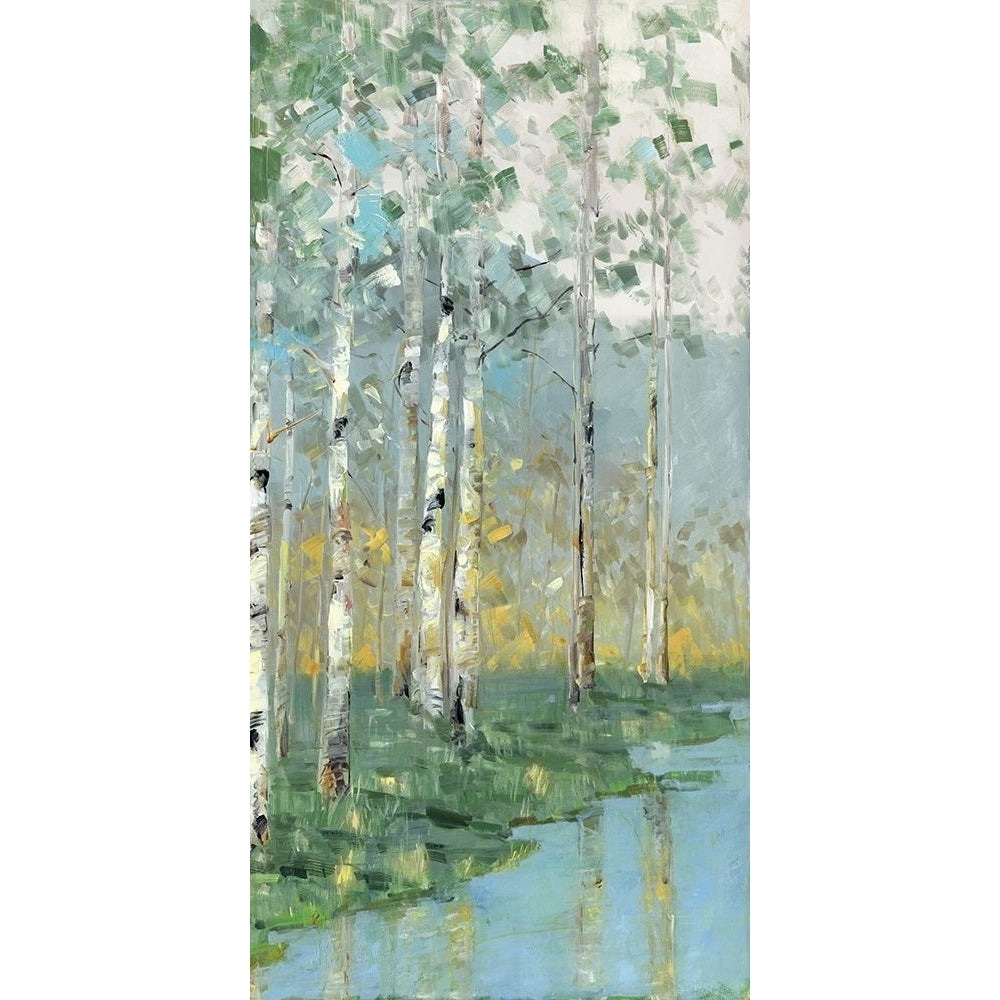 Birch Poster Print by Sally Swatland-VARPDX40020 Image 1