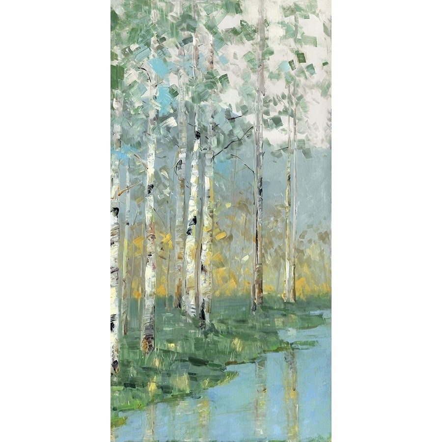 Birch Poster Print by Sally Swatland-VARPDX40020 Image 1