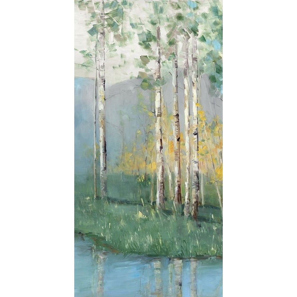 Birch Poster Print by Sally Swatland-VARPDX40021 Image 1