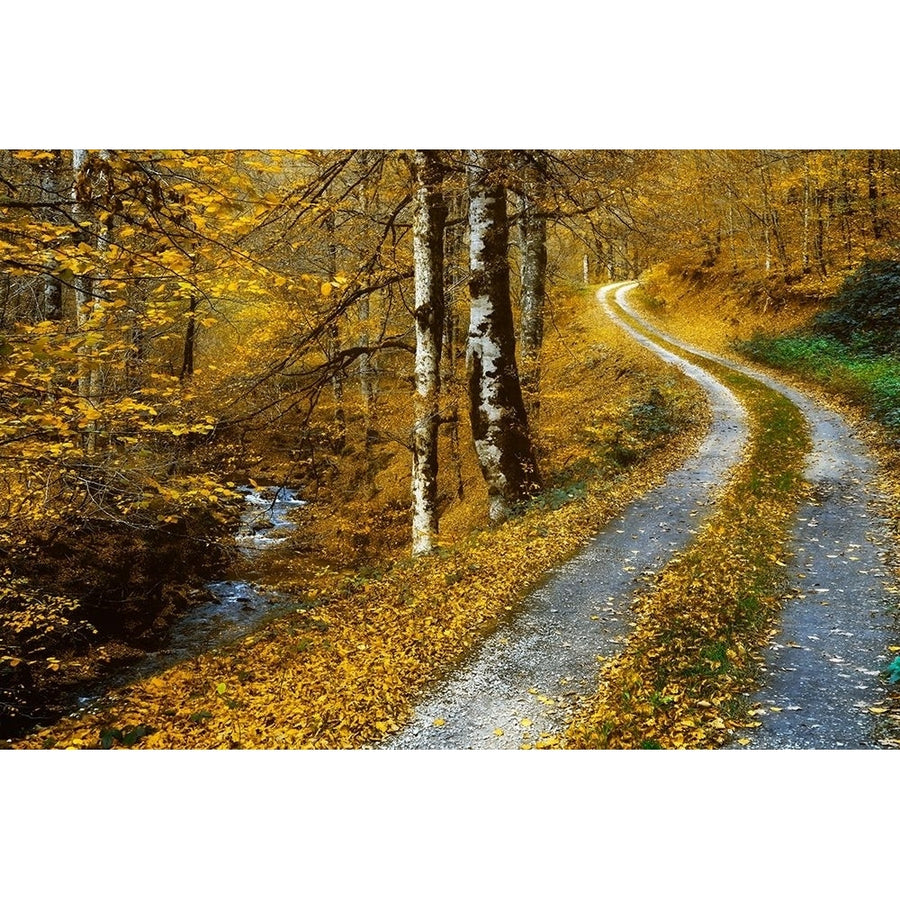 Winding Road Poster Print by Lars Van de Goor-VARPDX40078 Image 1