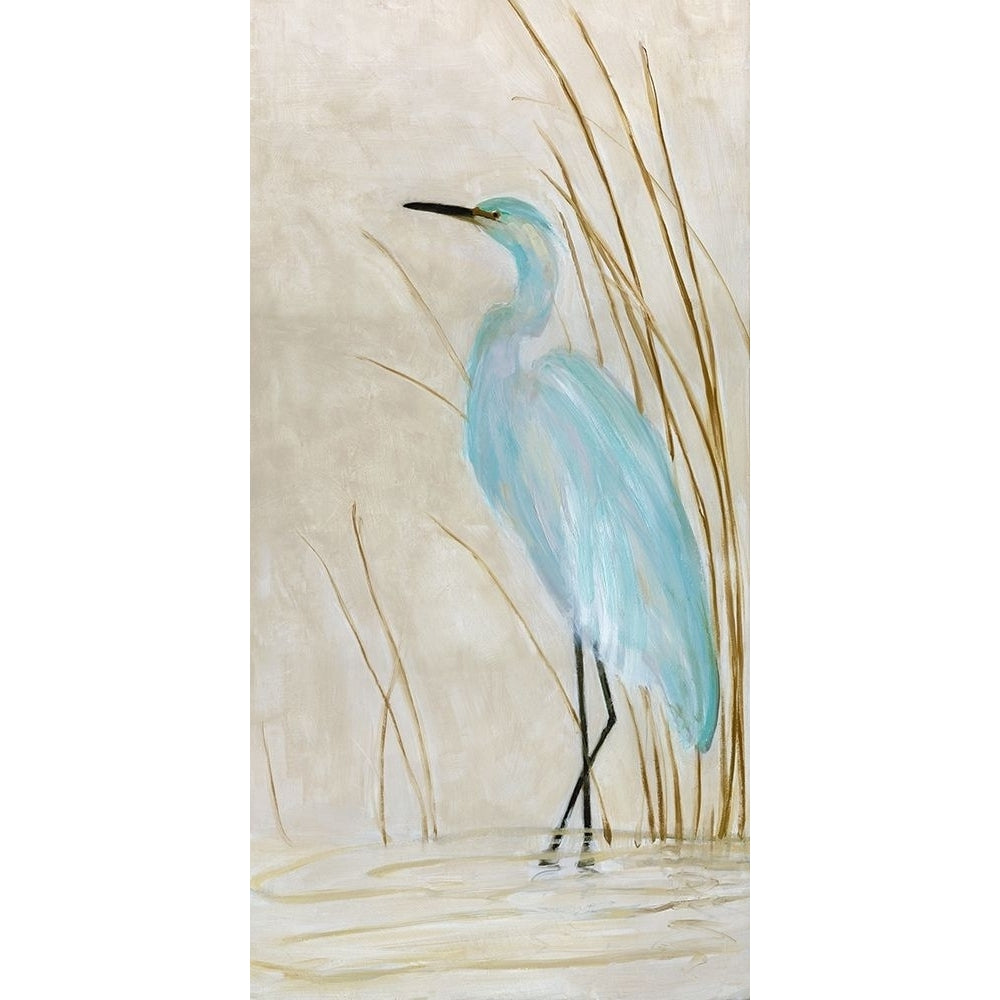 Soft Egret II Poster Print by Sally Swatland-VARPDX40146 Image 1