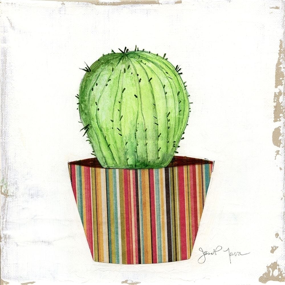 Boho Cacti III Poster Print by Tava Studios-VARPDX40213 Image 1