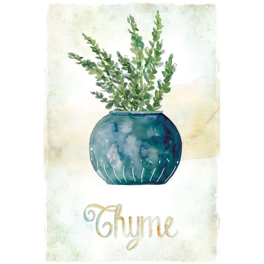 Potted Thyme Poster Print by Carol Robinson-VARPDX40229 Image 1