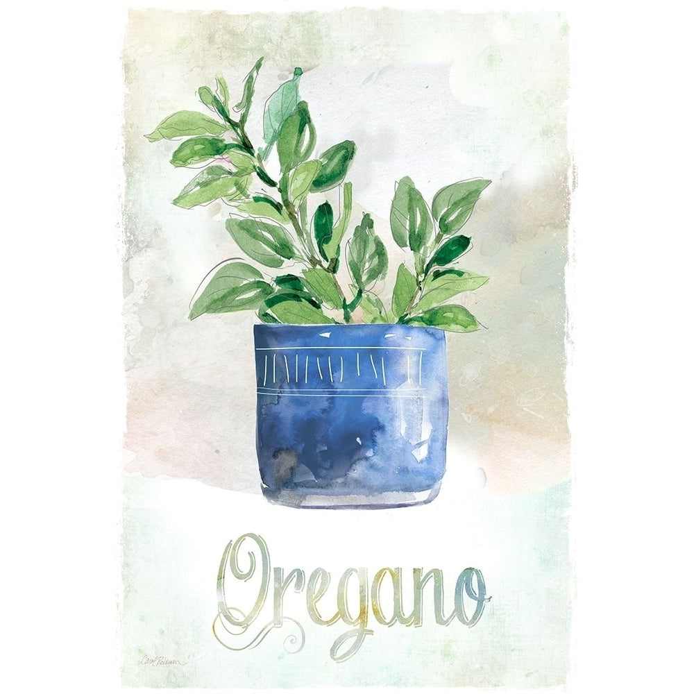 Potted Oregano Poster Print by Carol Robinson-VARPDX40227 Image 1