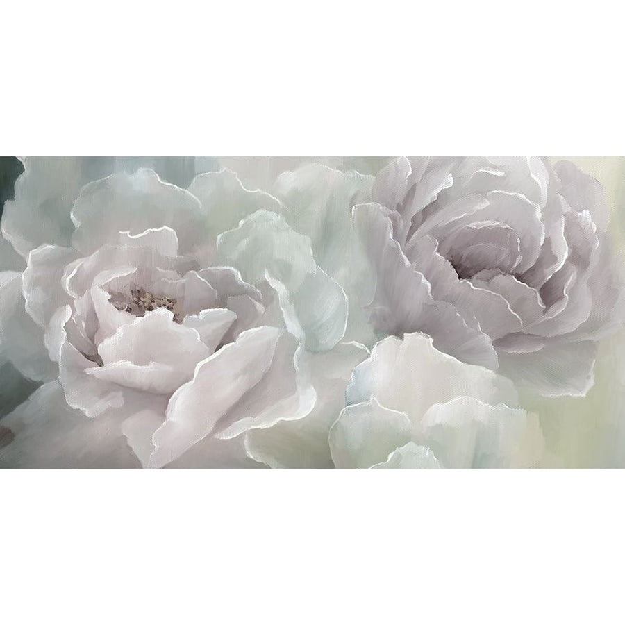 Peony Lace Poster Print by Nan-VARPDX40290 Image 1