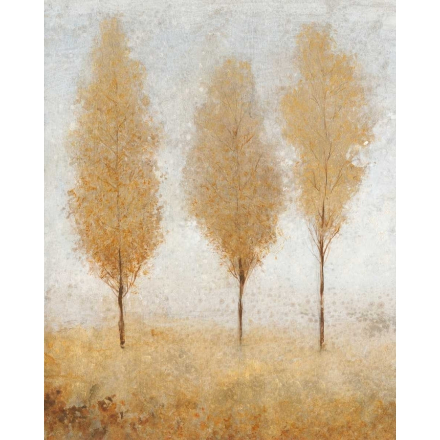 Autumn Springs I Poster Print - Tim OToole-VARPDX40671GG Image 1