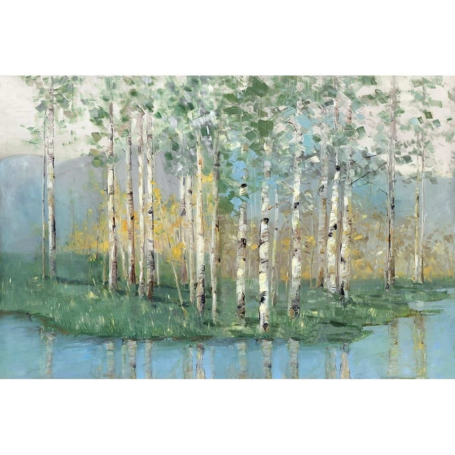 Birch Reflections Revisited Poster Print by Sally Swatland-VARPDX40672 Image 1