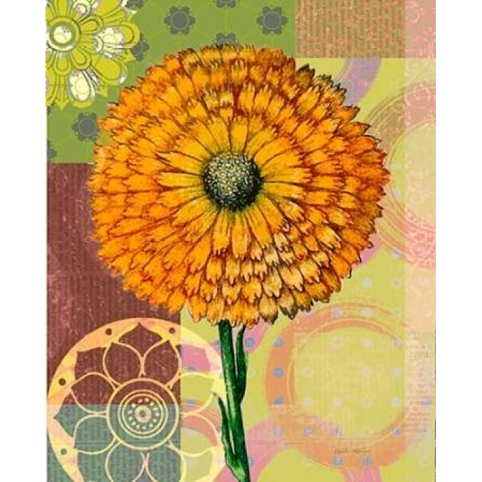 Zinnia Story Poster Print by Walter Robertson-VARPDX406ROB1040 Image 2