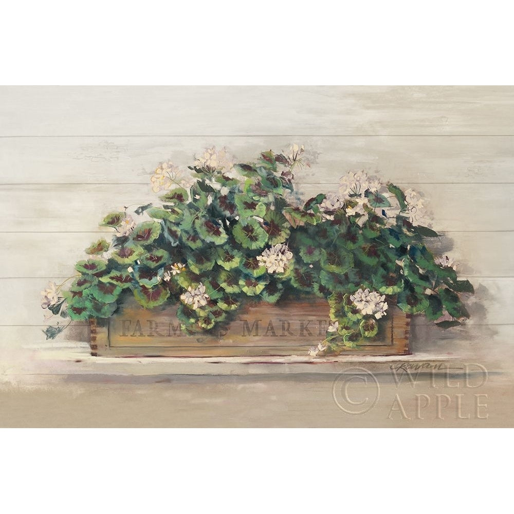 Market Geraniums Farmers Market CropMarket Geraniums Poster Print by Carol Rowan-VARPDX40797 Image 1