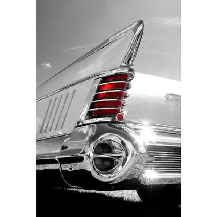 White Tailfin Poster Print by Matt McCarthy-VARPDX407MCC1003A Image 1