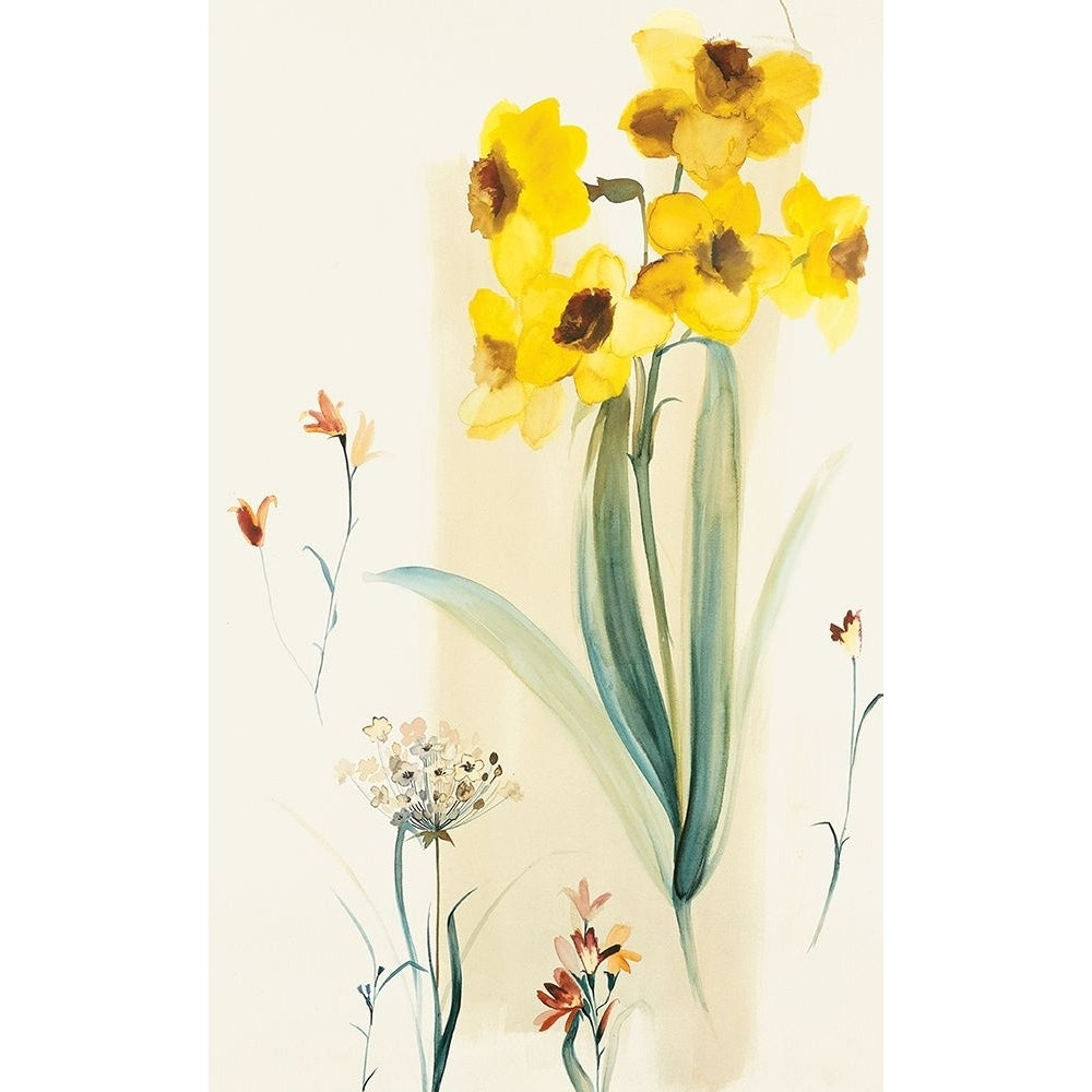 Modern Daffodils Poster Print - Unknown-VARPDX4095 Image 1