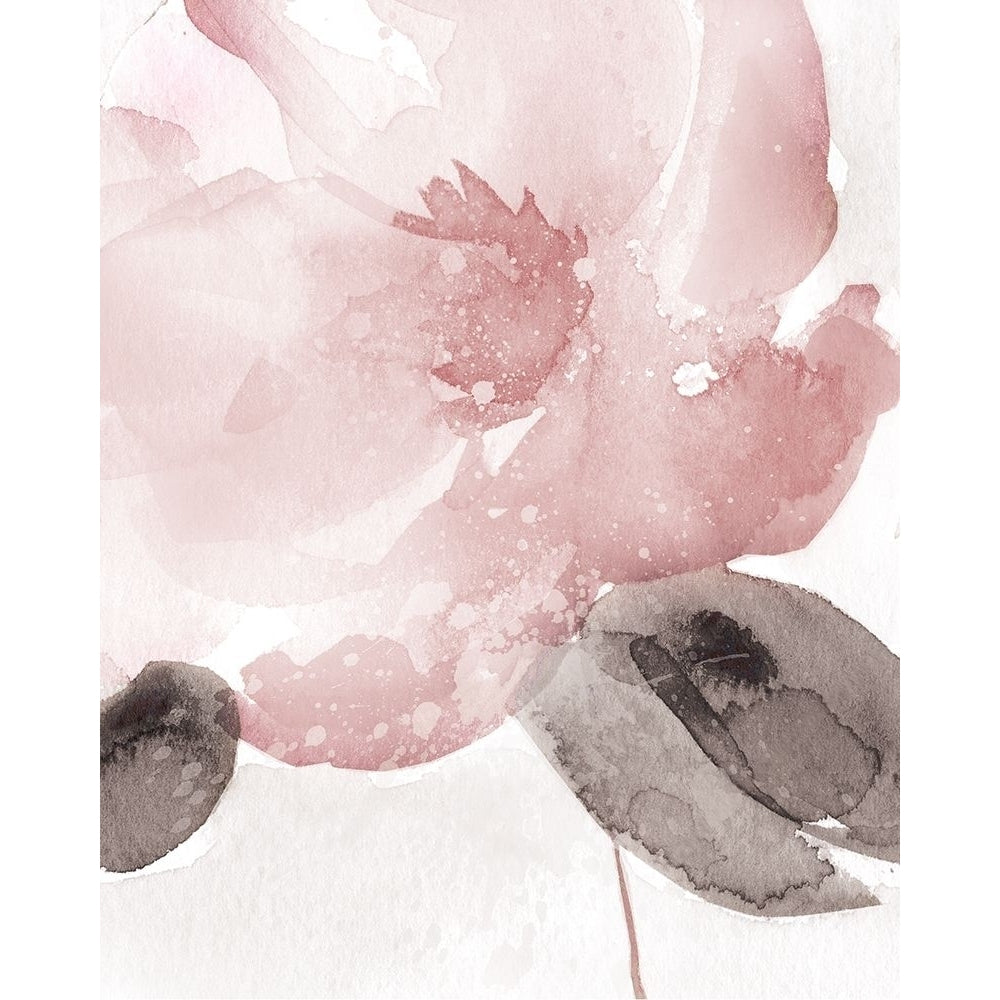 Blush Bloom I Poster Print by Carol Robinson-VARPDX41015 Image 1