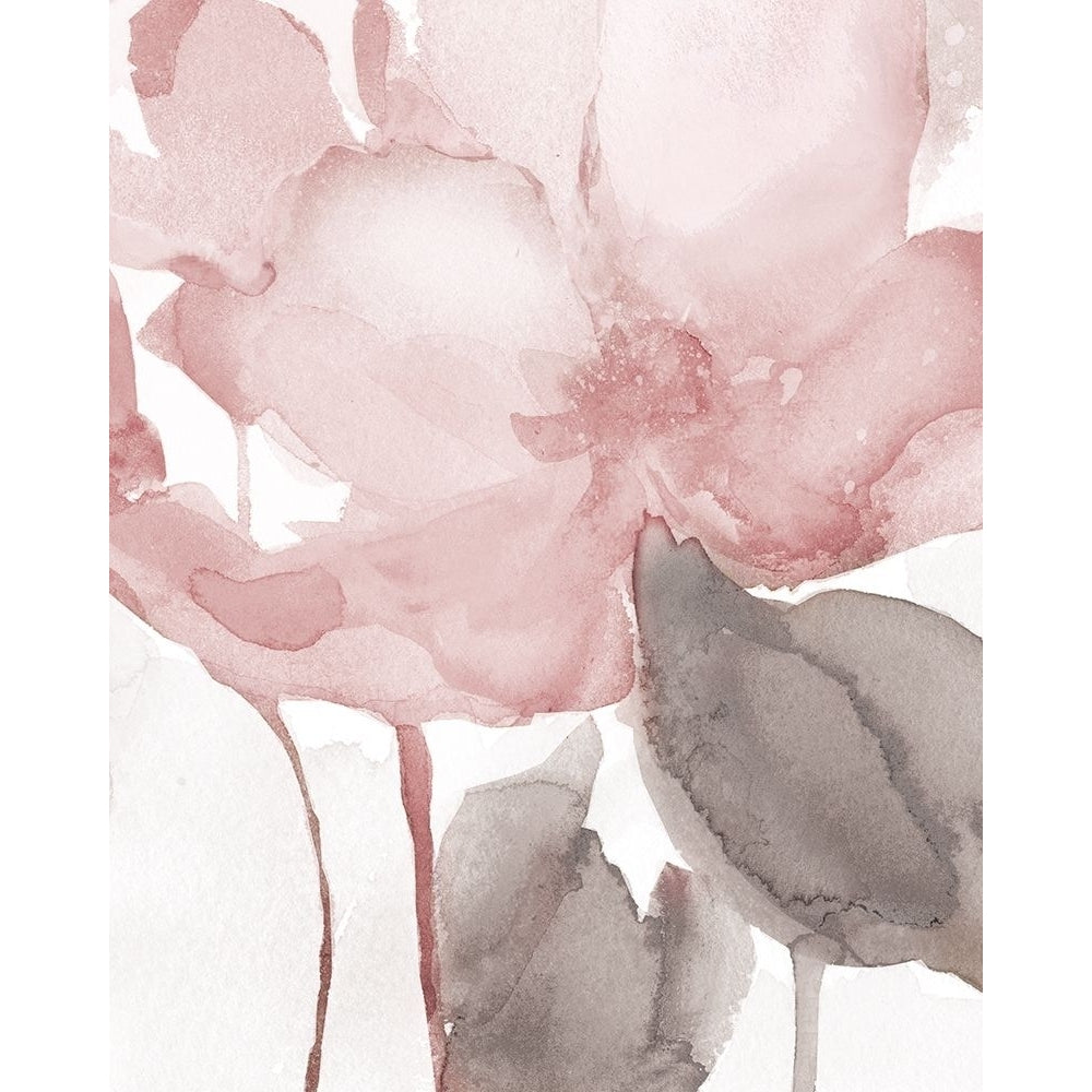 Blush Bloom II Poster Print by Carol Robinson-VARPDX41016 Image 1