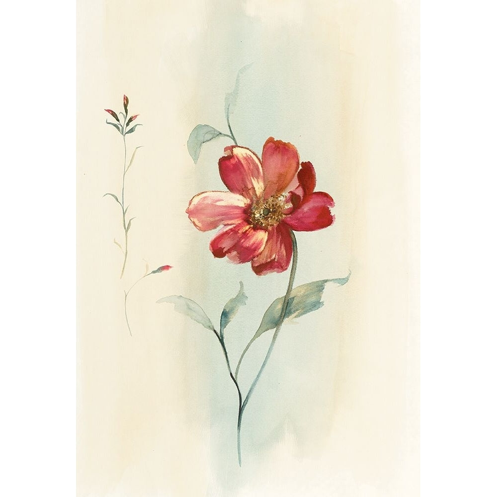 Modern Red Floral Poster Print - Unknown-VARPDX4105 Image 1