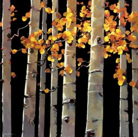 Aspen Grove Poster Print by Michael OToole-VARPDX4108 Image 1