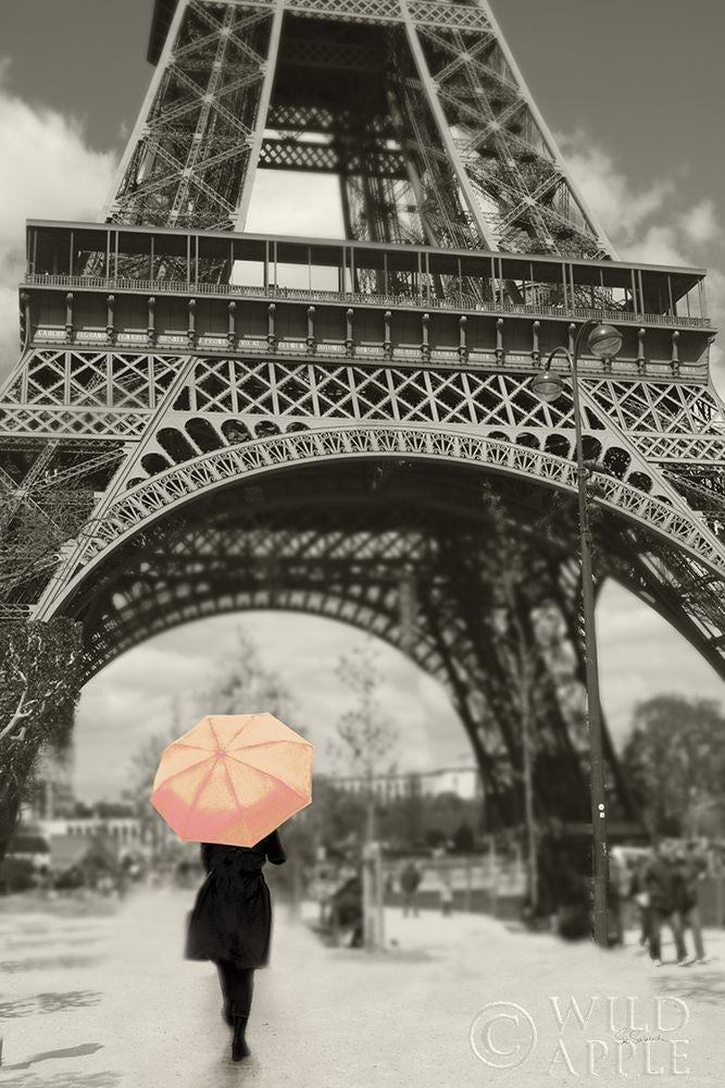 Paris In The Rain Ii Poster Print by Sue Schlabach-VARPDX41084 Image 1