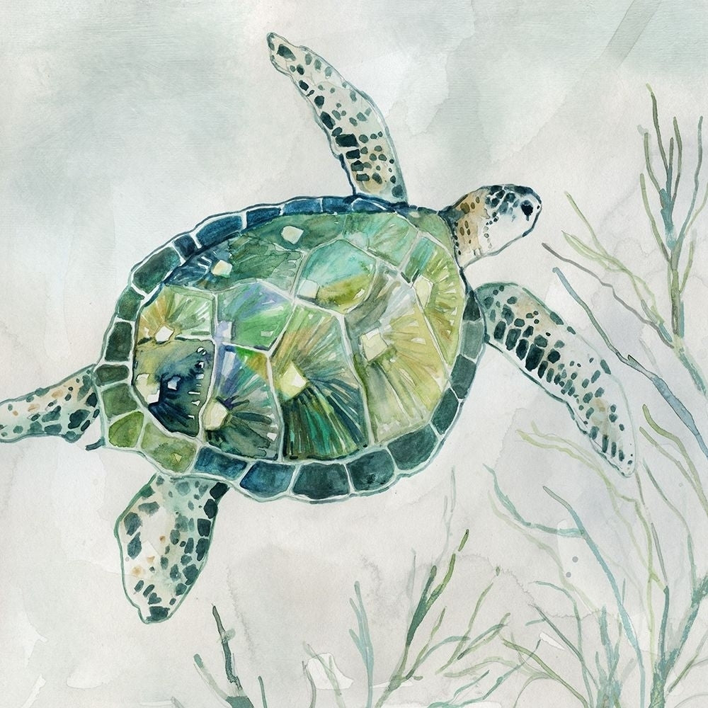 Seaglass Turtle I Poster Print by Carol Robinson-VARPDX41102 Image 1