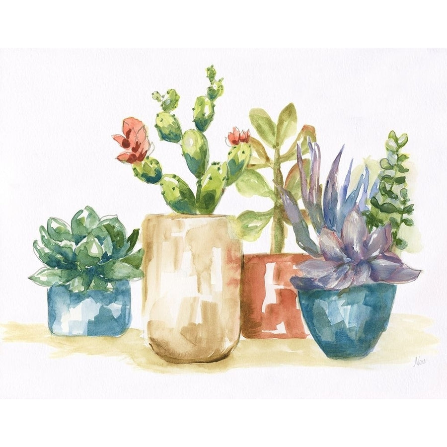 Summer Succulents I Poster Print by Nan Nan-VARPDX41123 Image 1