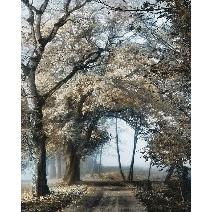 Road to Tomorrow Poster Print by Lars Van de Goor-VARPDX41180 Image 1