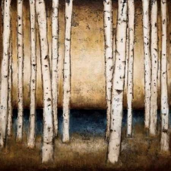 Birch Landing Poster Print by Patrick St.Germain-VARPDX4118 Image 1