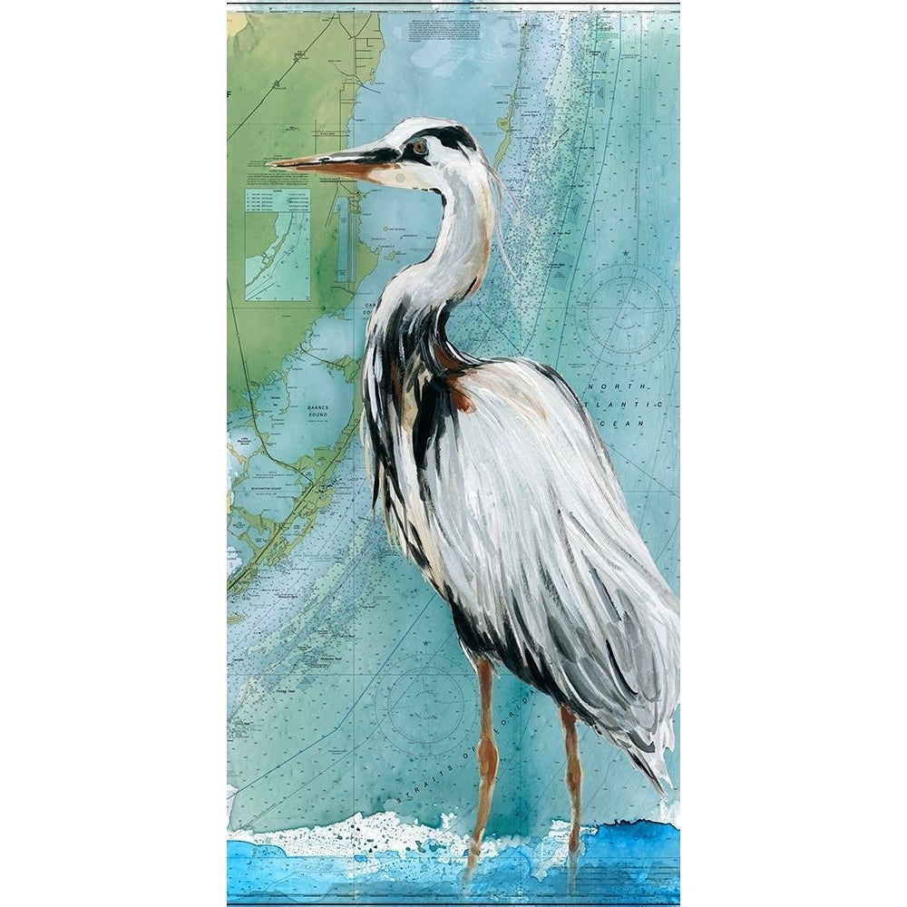 Biscayne Bay Crane Poster Print by Carol Robinson-VARPDX41437 Image 1