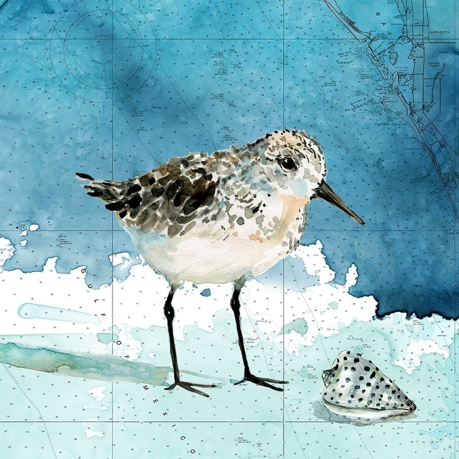 Bay Shore Sandpiper I Poster Print by Carol Robinson-VARPDX41442 Image 1