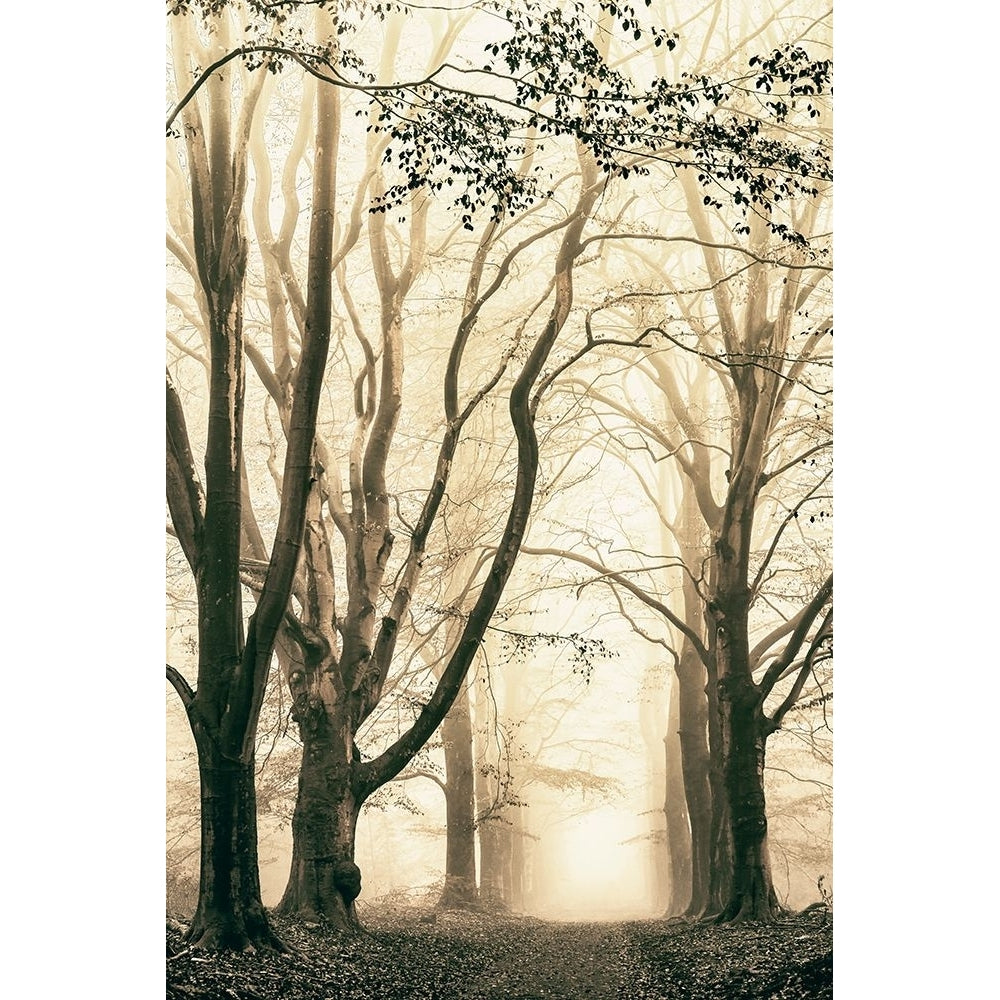 Silence Poster Print - Lars Van de Goor-VARPDX41456 Image 1