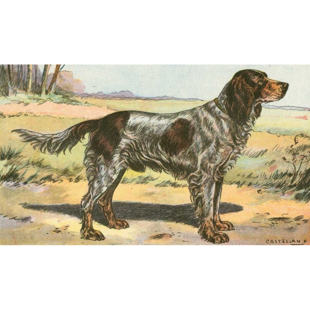 Mans Best Friend II Poster Print - Unknown-VARPDX41489D Image 1