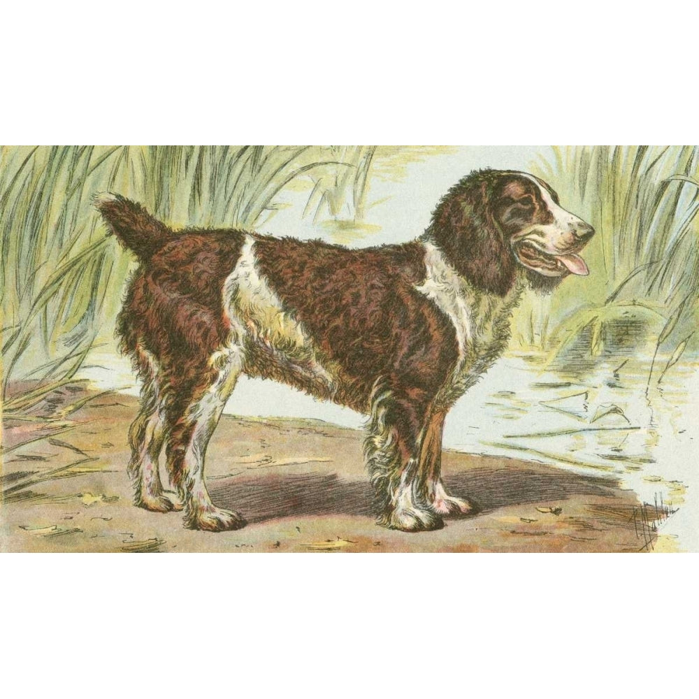 Mans Best Friend IV Poster Print - Unknown-VARPDX41491D Image 1