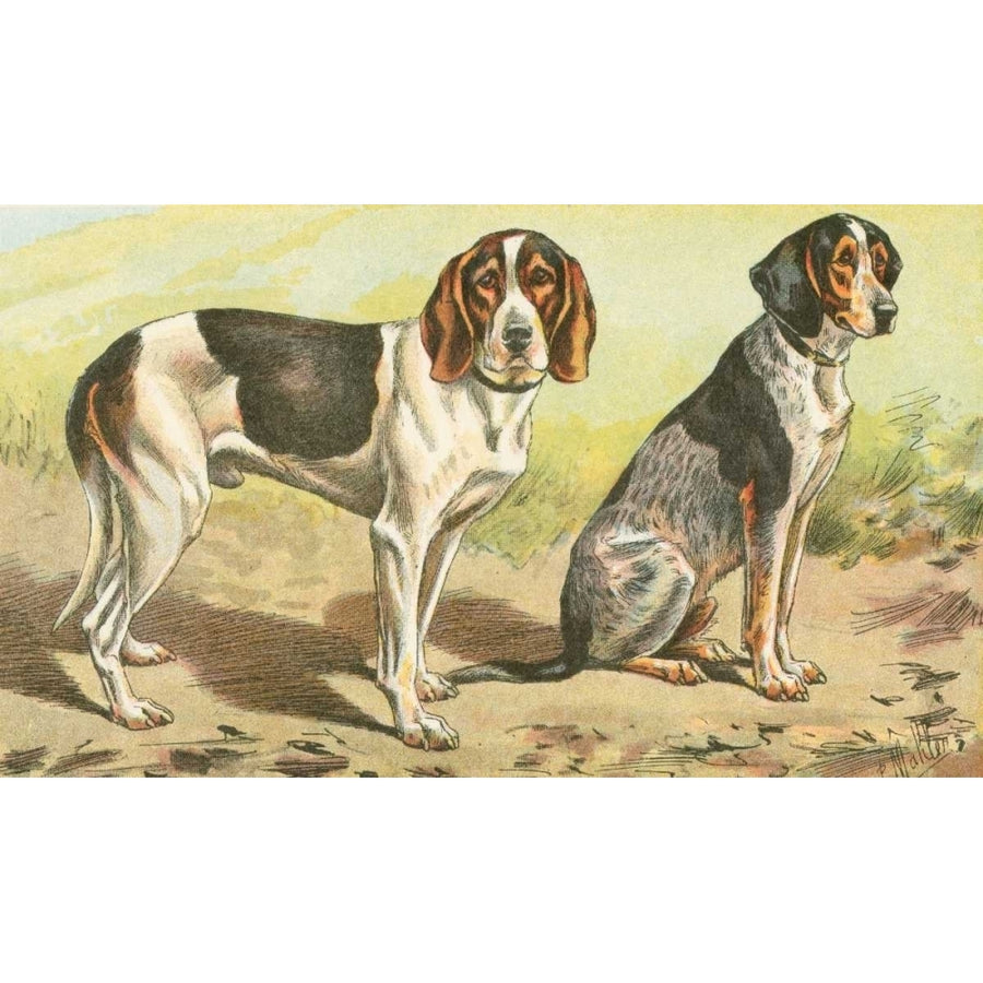 Mans Best Friend VI Poster Print - Unknown-VARPDX41493D Image 1