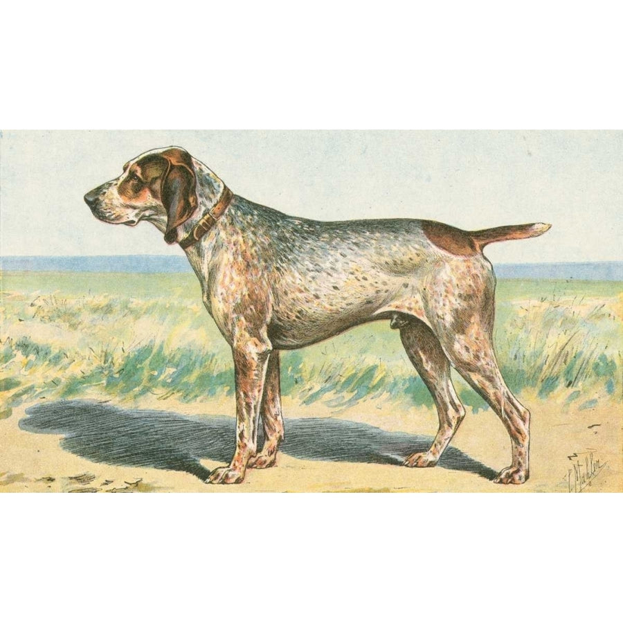 Mans Best Friend III Poster Print - Unknown-VARPDX41490D Image 1