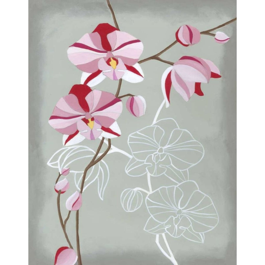 Floral Echo I Poster Print - Vanna Lam-VARPDX41535D Image 1