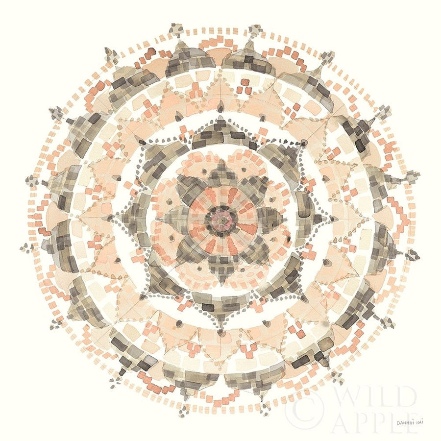 Blush Mandala Poster Print by Danhui Nai-VARPDX41577 Image 1