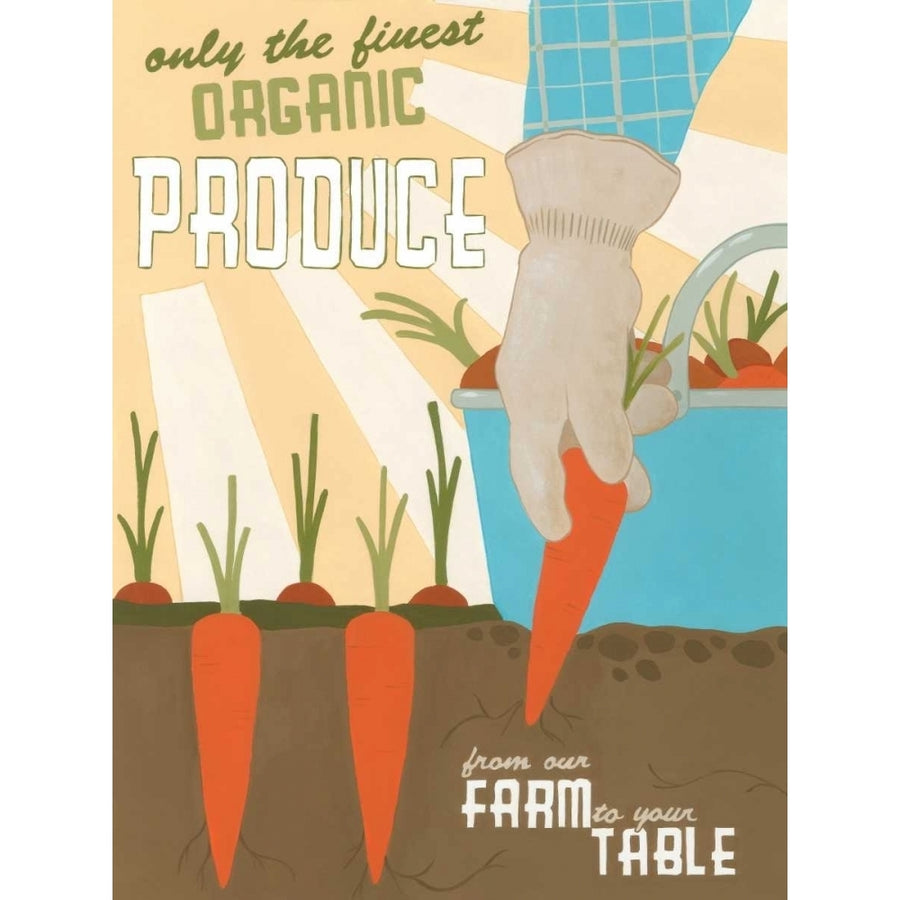 Organic Produce Poster Print - June Erica Vess-VARPDX41641D Image 1