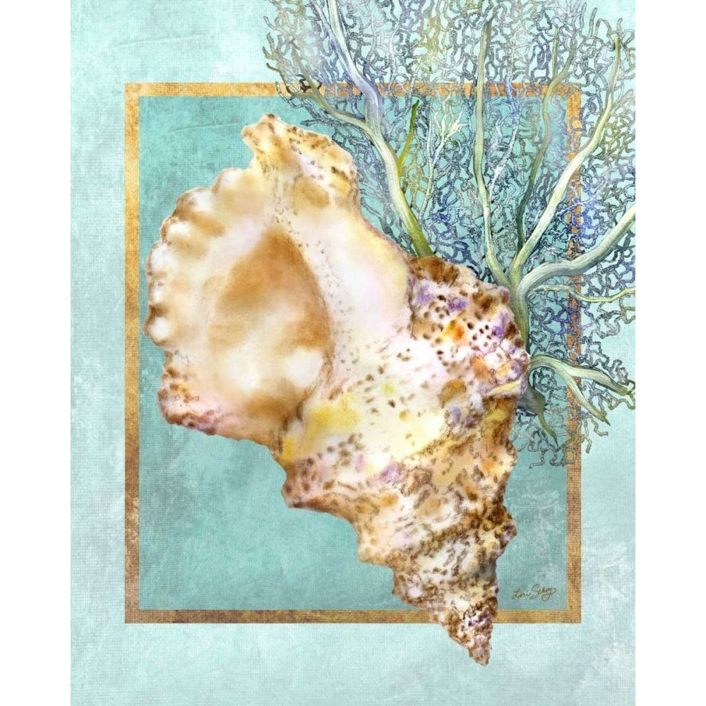 Conch Shell and Coral Poster Print - Lori Schory-VARPDX41717D Image 1