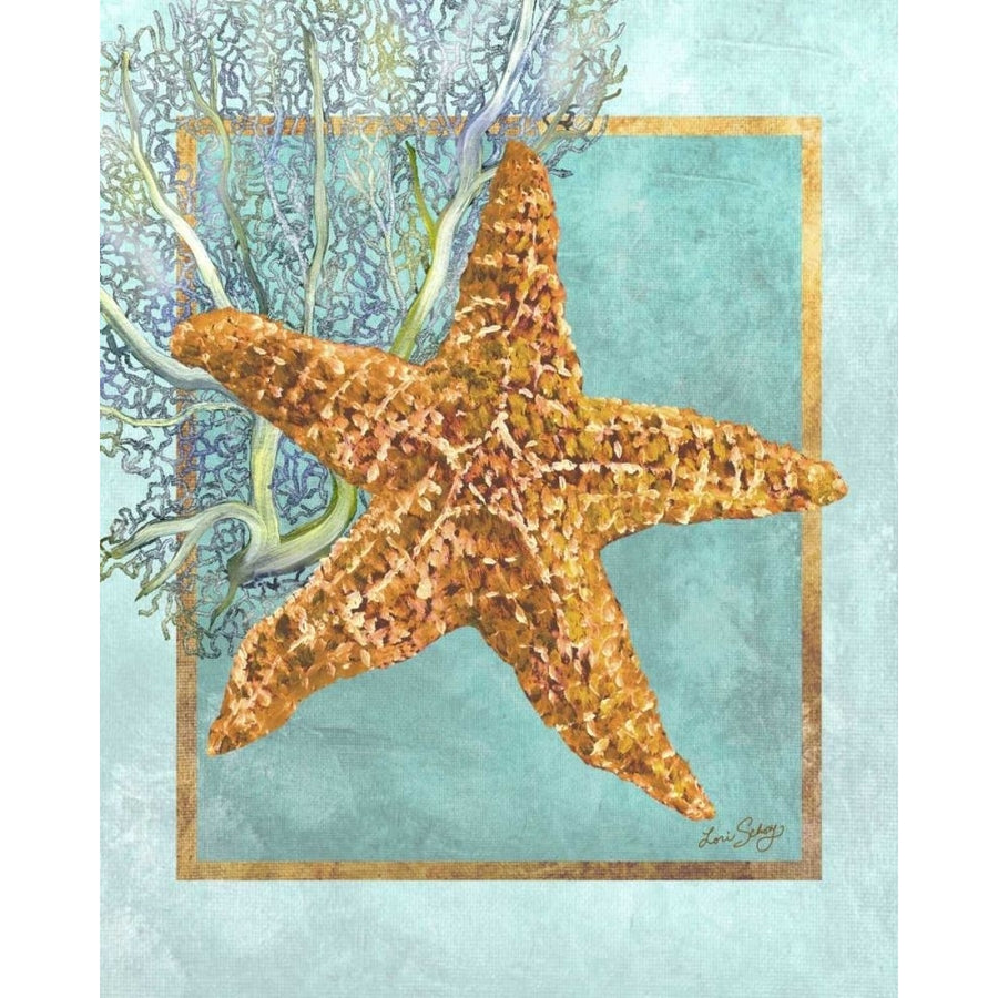 Starfish and Coral Poster Print - Lori Schory-VARPDX41716D Image 1