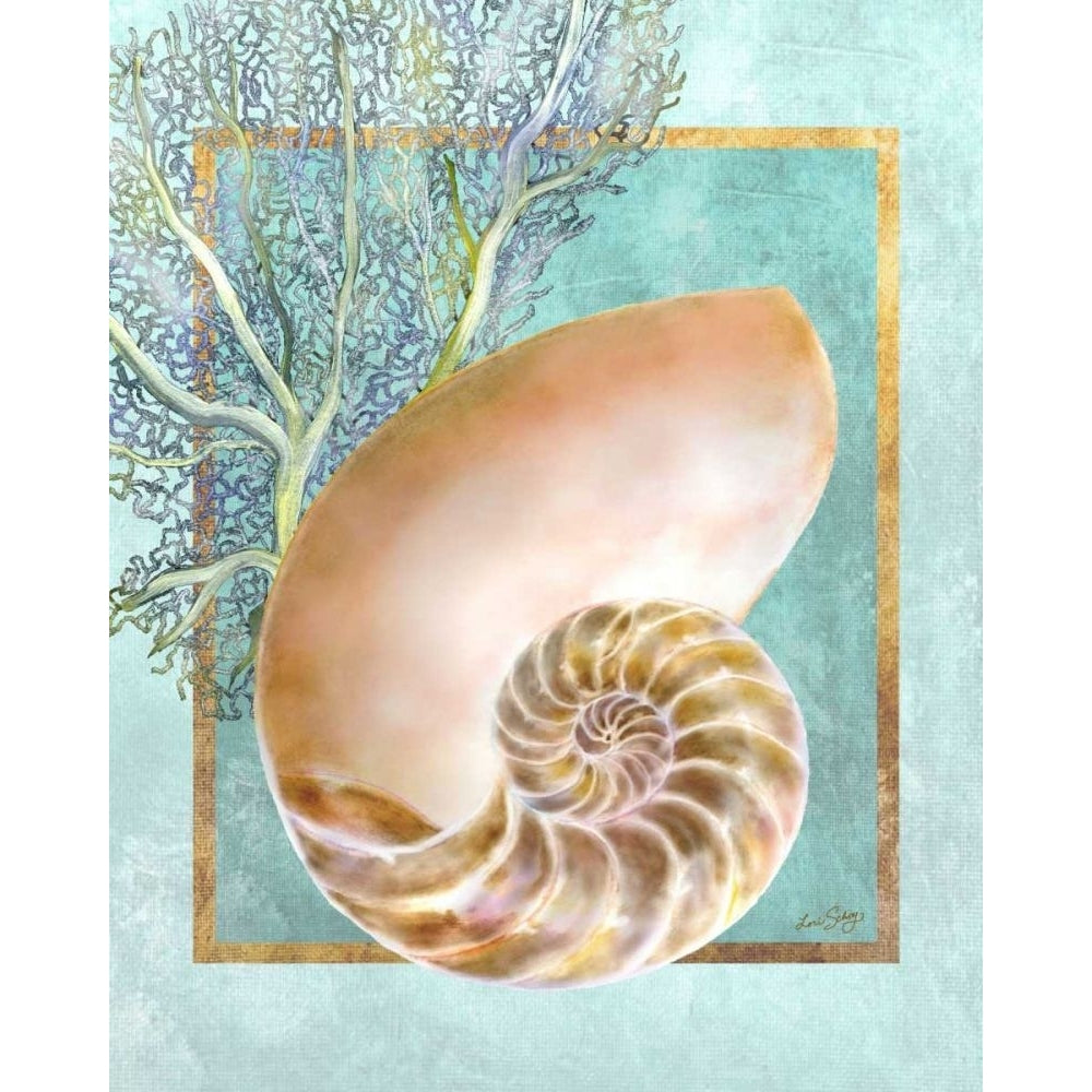 Nautilus Shell and Coral Poster Print - Lori Schory-VARPDX41718D Image 1