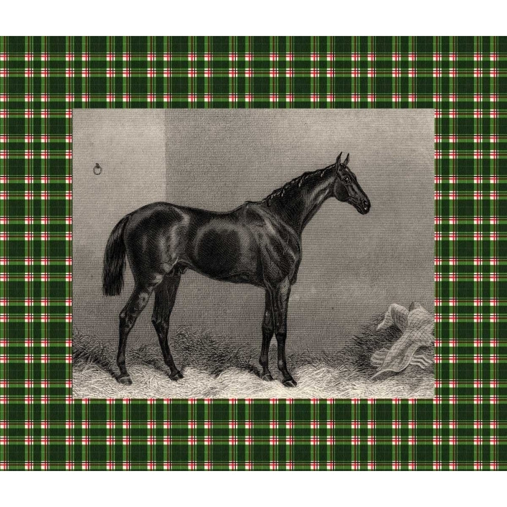 Equestrian Plaid I Poster Print - E. Hacker-VARPDX41732D Image 1