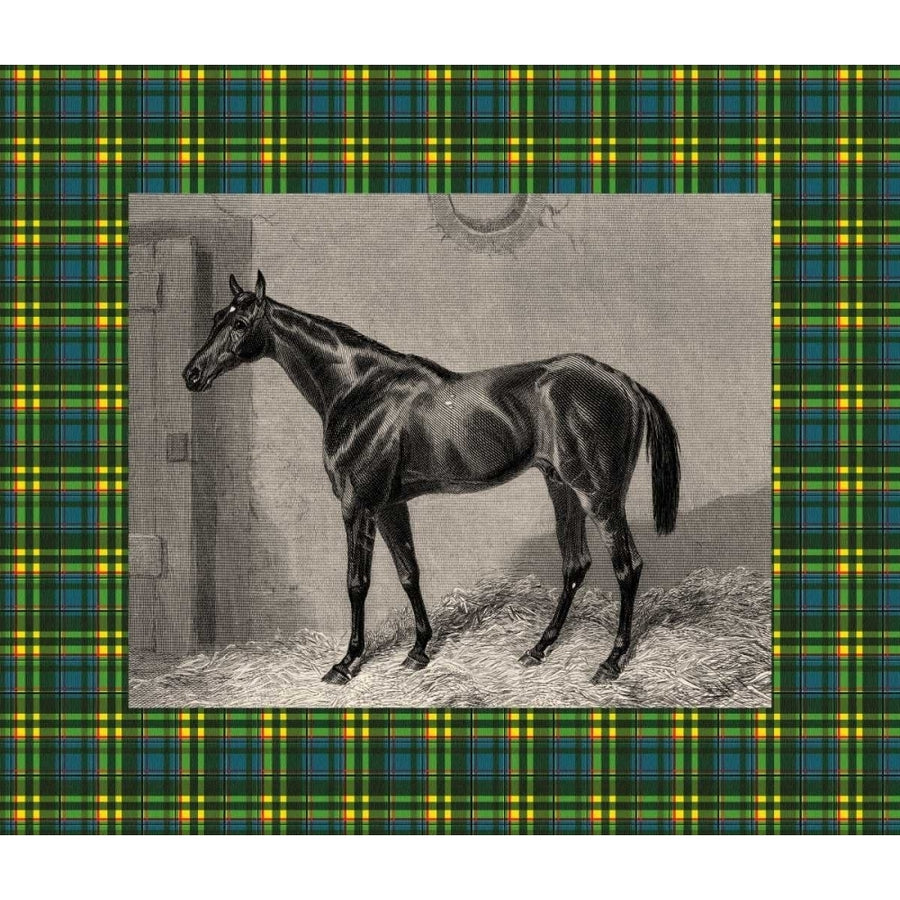 Equestrian Plaid II Poster Print - E. Hacker-VARPDX41733D Image 1