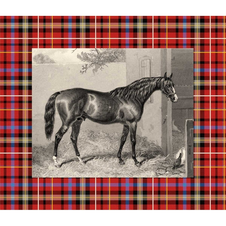 Equestrian Plaid III Poster Print - E. Hacker-VARPDX41734D Image 1