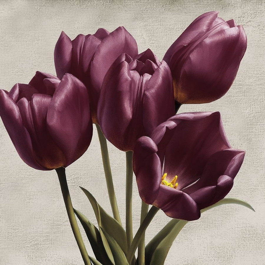 Royal Tulips Poster Print by Igor Levashov-VARPDX41793 Image 1