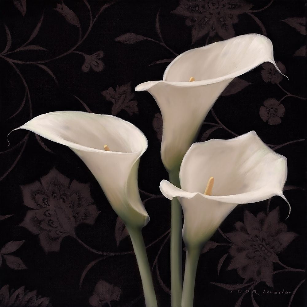 Calla Elegante Poster Print by Igor Levashov-VARPDX41796 Image 1