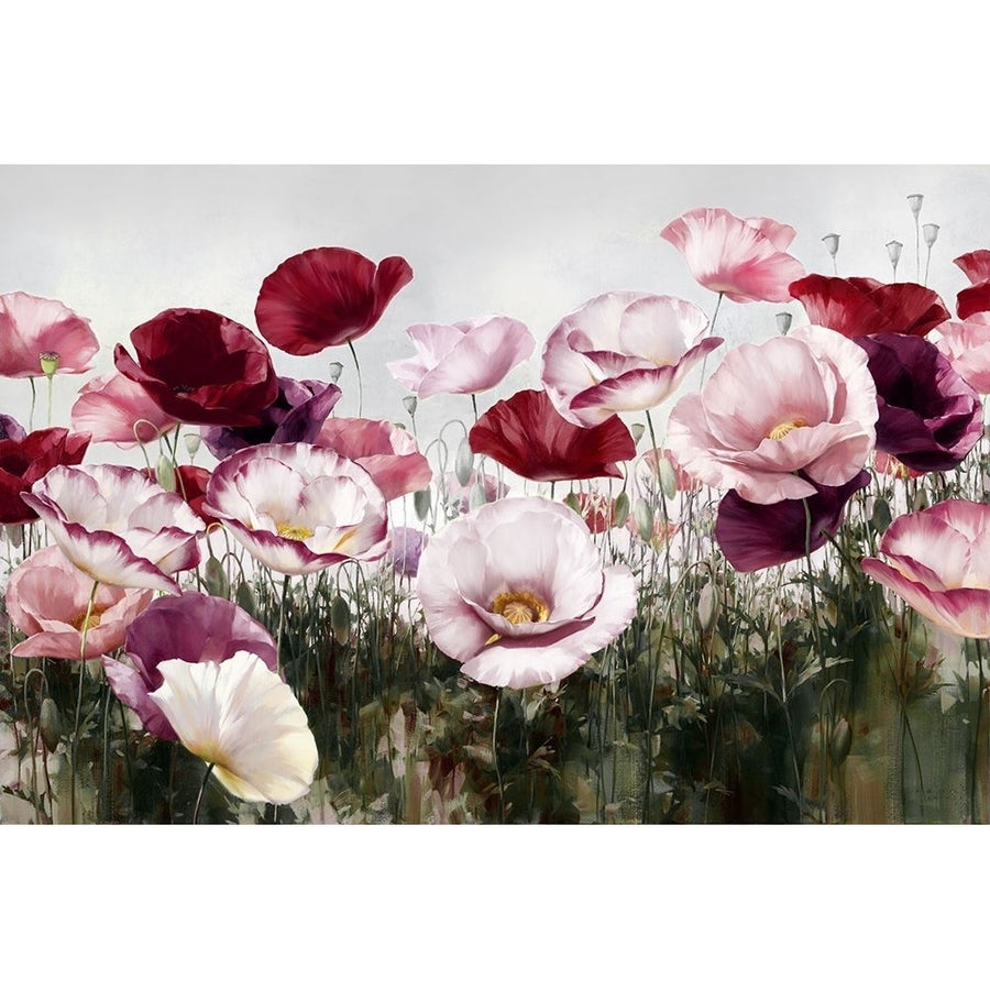 Royal Poppy Poster Print by Igor Levashov-VARPDX41797 Image 1