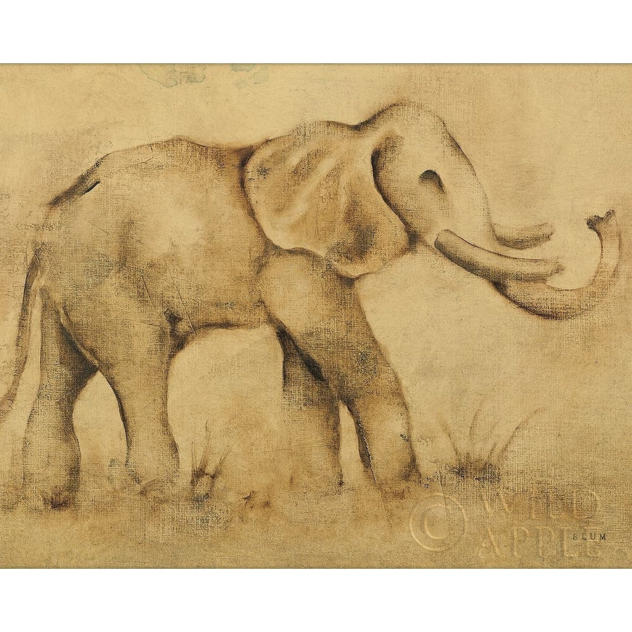 Global Elephant Light Crop Poster Print by Cheri Blum-VARPDX41822 Image 1